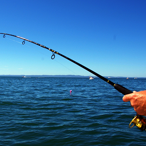 Cbeyond Nilaveli 29 Fishing