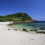 pigeon-island01