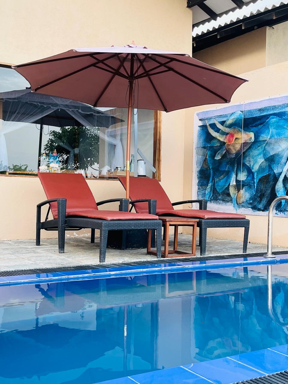 The Art of Relaxation: Living Inside a Laki Senanayake Masterpiece 4 plunge pool room-2